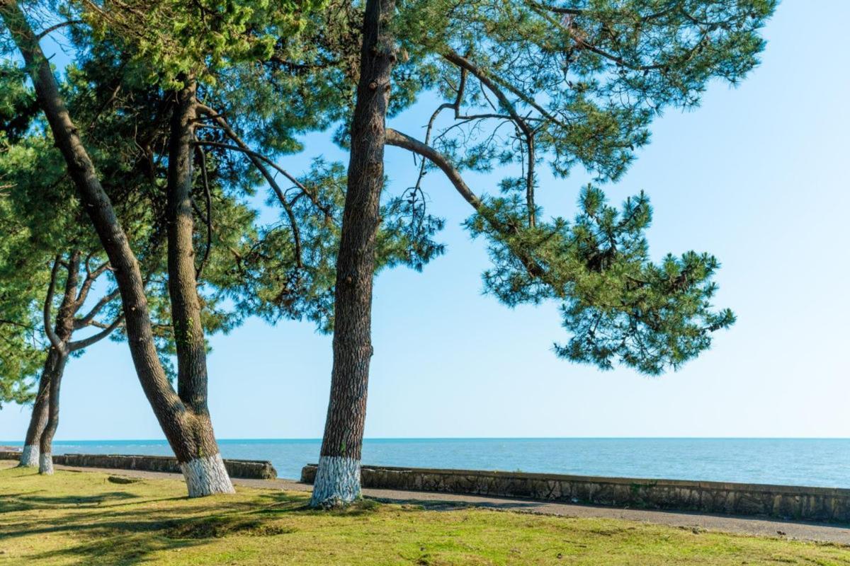 Коттеджные Домики Лдзаа Lidzava Exterior photo