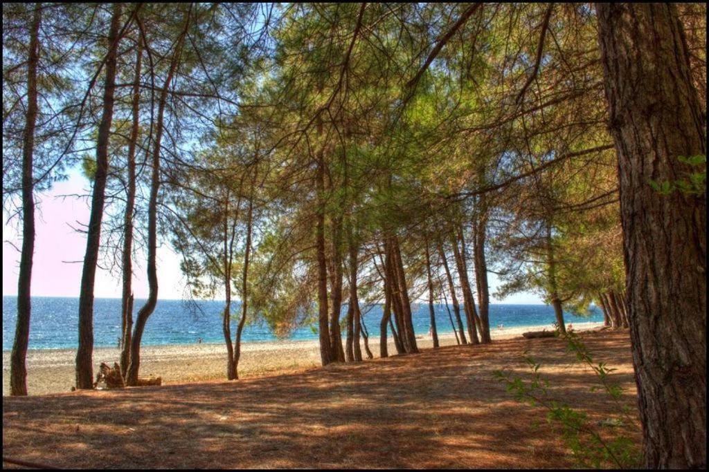 Коттеджные Домики Лдзаа Lidzava Exterior photo